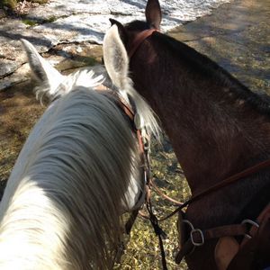 Meet your Posher, Beth